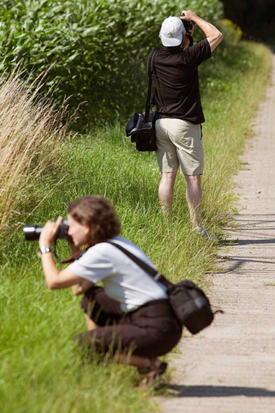 Zwei Menschen fotografieren am Wegesrand